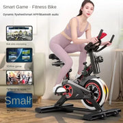 Gym Dedicated Indoor Exercise Weight Loss Silent Smart Power Bike - Spin Bike Home Fitness Equipment -Hot New for Healthy Living